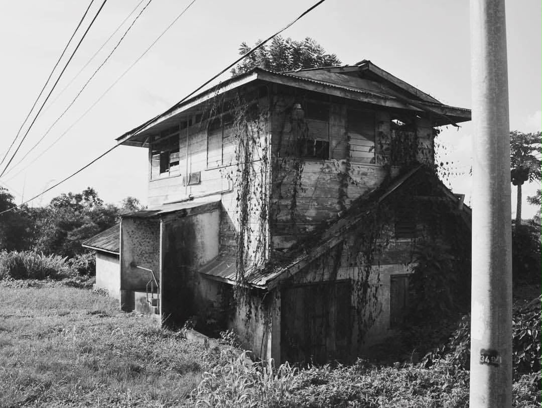 The original Vintage Oaks homestead, a wooden two-story house draped in vines