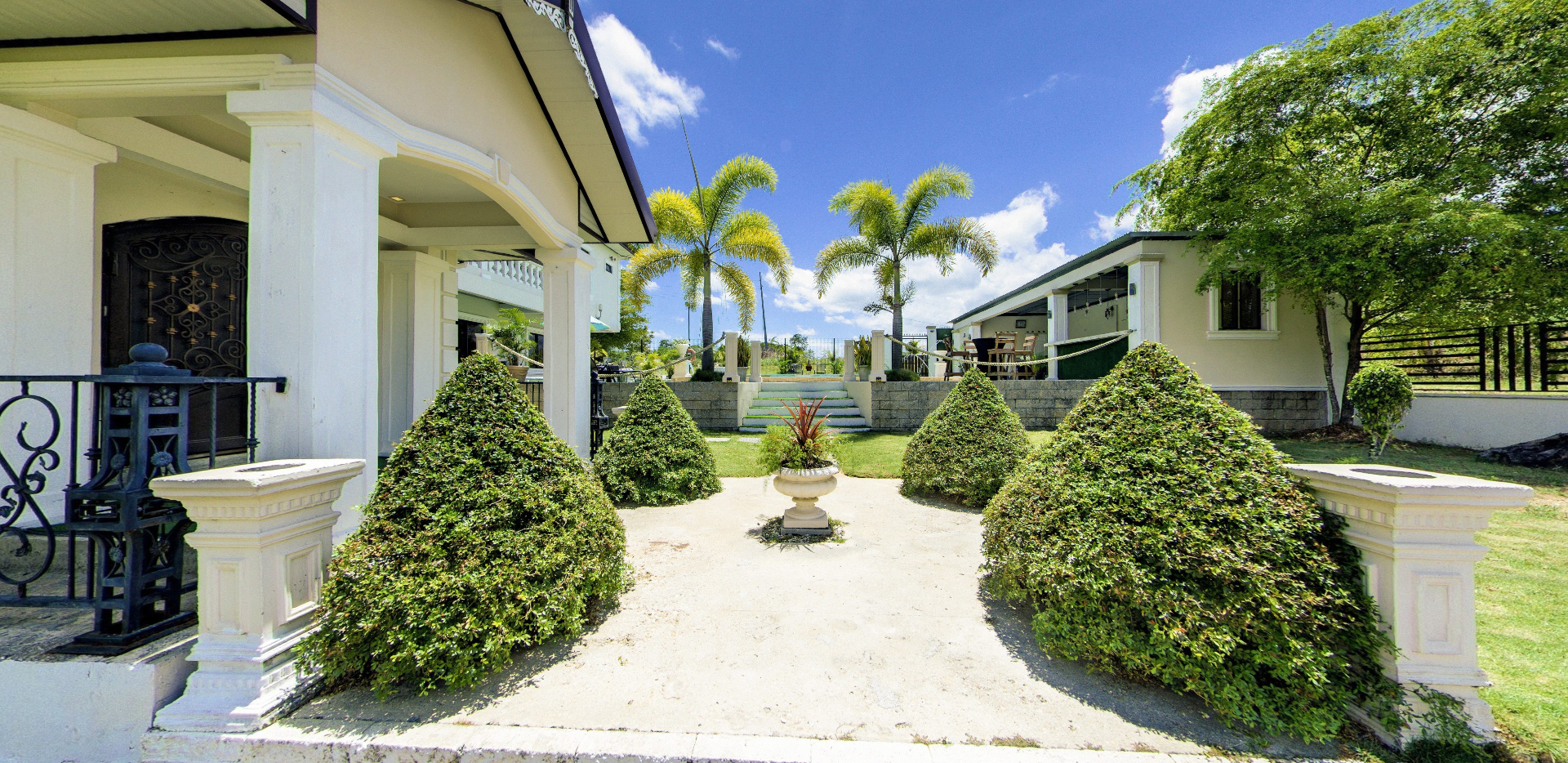 Front garden path with topiary and palms
